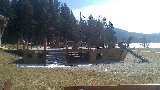 Lipno Marina Apartment Surroundings