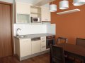 Studio Albertov Prague Kitchen