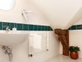 Luxury duplex apartment Hastalska Bathroom 2