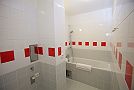 Studio Apartment Havlickova Prague Bathroom