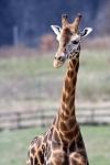 Prague Zoo